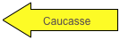 Caucasse